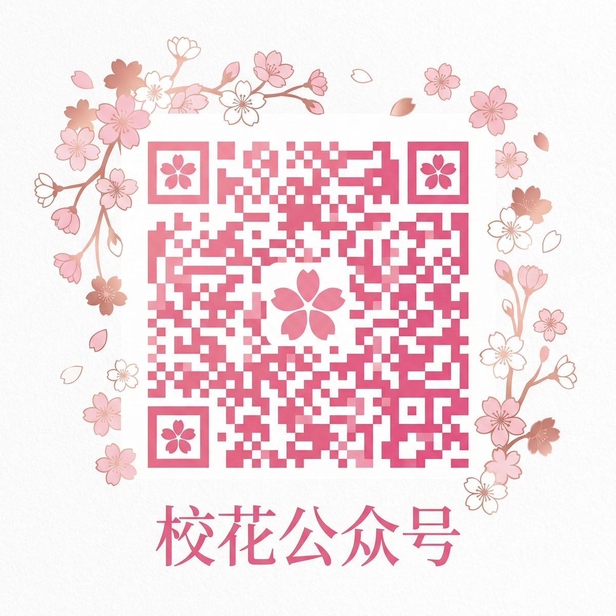 里番在线看公众号二维码